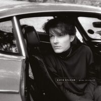 David Sylvian - Gone To Earth vinyl cover
