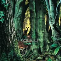 David Sylvian - Manafon vinyl cover