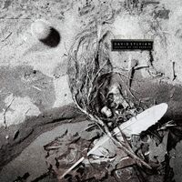 David Sylvian - Secrets Of The Beehive vinyl cover
