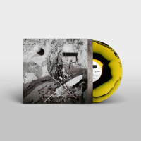 David Sylvian - Secrets of the Beehive (Yellow Opaque Black) vinyl cover
