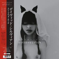 David Sylvian - Sleepwalkers - Japanese Pressing vinyl cover