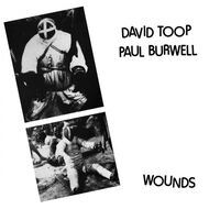 David Toop / Paul Burwell - Wounds vinyl cover