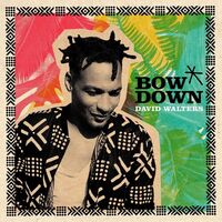 David Walters - Bow Down vinyl cover