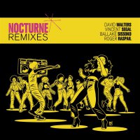 David Walters - Nocturne Remixes
