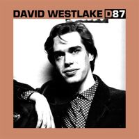 David Westlake - D87 vinyl cover