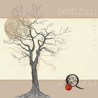 David Zulli - 2Q20 vinyl cover
