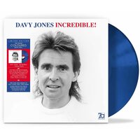 Davy Jones - Incredible! vinyl cover
