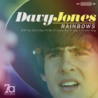 Davy Jones - Rainbows / You Don't Have To Be A County Boy To Sing A Country Song vinyl cover