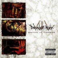 Dawn Of Ashes - Anatomy Of Suffering vinyl cover