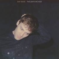 Day Wave - The Days We Had vinyl cover