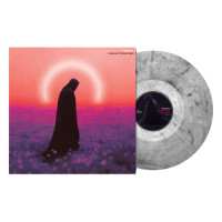 Dayseeker - Creature In The Black Night (Gray Marble) vinyl cover