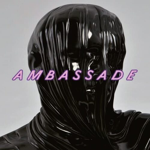 De Ambassade - Young Birds vinyl cover