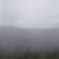 Dead Bandit - Dead Bandit vinyl cover