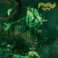 Dead Meadow - Feathers vinyl cover