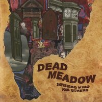 Dead Meadow - Shivering King And Others vinyl cover