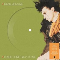 Dead or Alive - Lover Come Back To Me vinyl cover