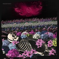 Dead Rabbitts - Redefined vinyl cover