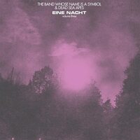 Dead Sea Apes & Band Whose Name Is a Symbol - Eine Nact, Vol. 3 vinyl cover