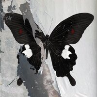Death Cult - Paradise Now (Clear With Splatter) vinyl cover