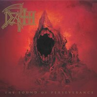 Death - The Sound Of Perseverance vinyl cover