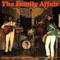 Debbie Macomber - Family Affair vinyl cover