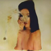 Debit - Long Count vinyl cover