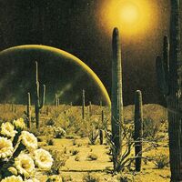 Decker. - Born To Wake Up vinyl cover