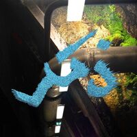 Deena Abdelwahed - Dhakar vinyl cover