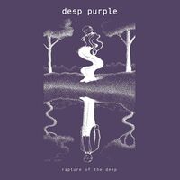 Deep Purple - Rapture Of The Deep vinyl cover