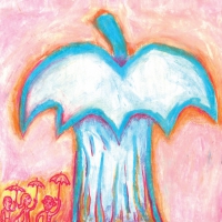 Deerhoof - Apple O' vinyl cover