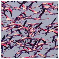 Deftones - Gore vinyl cover