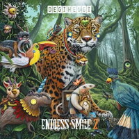 Degiheugi - Endless Smile 2 vinyl cover
