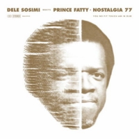 Dele Sosimi - You No Fit Touch Am In Dub vinyl cover