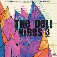 Deli - Vibes 3: Remastered vinyl cover