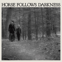 Delia Gonzalez - Horse Follows Darkness vinyl cover