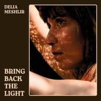 Delia Meshlir - Bring Back The Light vinyl cover