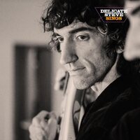 Delicate Steve - Delicate Steve Sings vinyl cover
