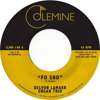 Delvon Lamarr Organ Trio - Fo Sho vinyl cover