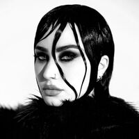 Demi Lovato - Revamped vinyl cover