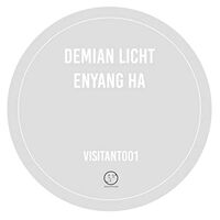 Demian Licht / Enyang Ha - Visitant001 vinyl cover