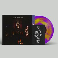 Demon Head - Through Holes Shine The Stars vinyl cover