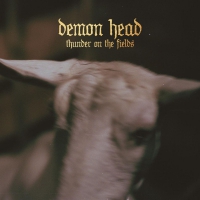 Demon Head - Thunder On The Fields vinyl cover
