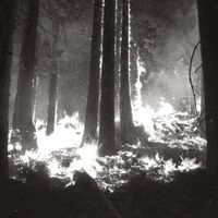 Den Sorte Dod - Undergangen vinyl cover