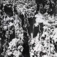 Den Sorte Dod - Den Sorte Dod vinyl cover