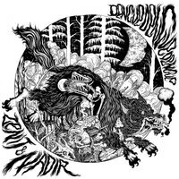 Dengue Dengue Dengue - Zenit & Nadir vinyl cover