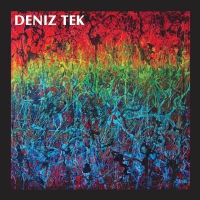 Deniz Tek - Mean Old Twister vinyl cover