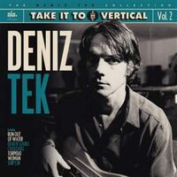 Deniz Tek - Take It To The Vertical vinyl cover