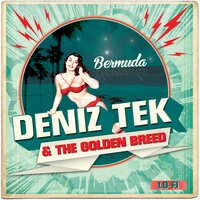 Deniz Tek Tek & the Golden Breed - Bermuda vinyl cover