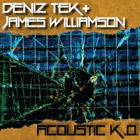 Deniz / Williamson,james Tek - Acoustic K.o. vinyl cover