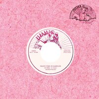 Dennis Walks - Waste Time In Babylon vinyl cover